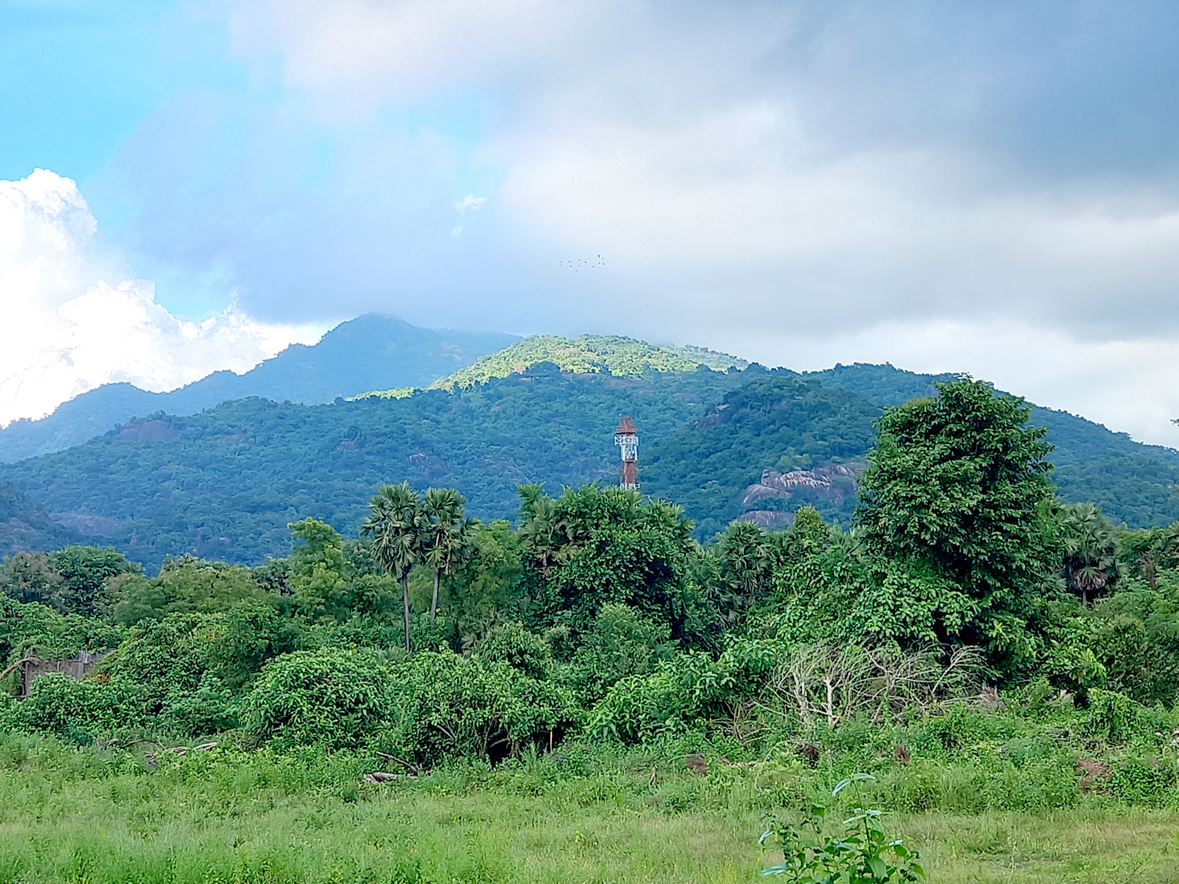 Araku Valley