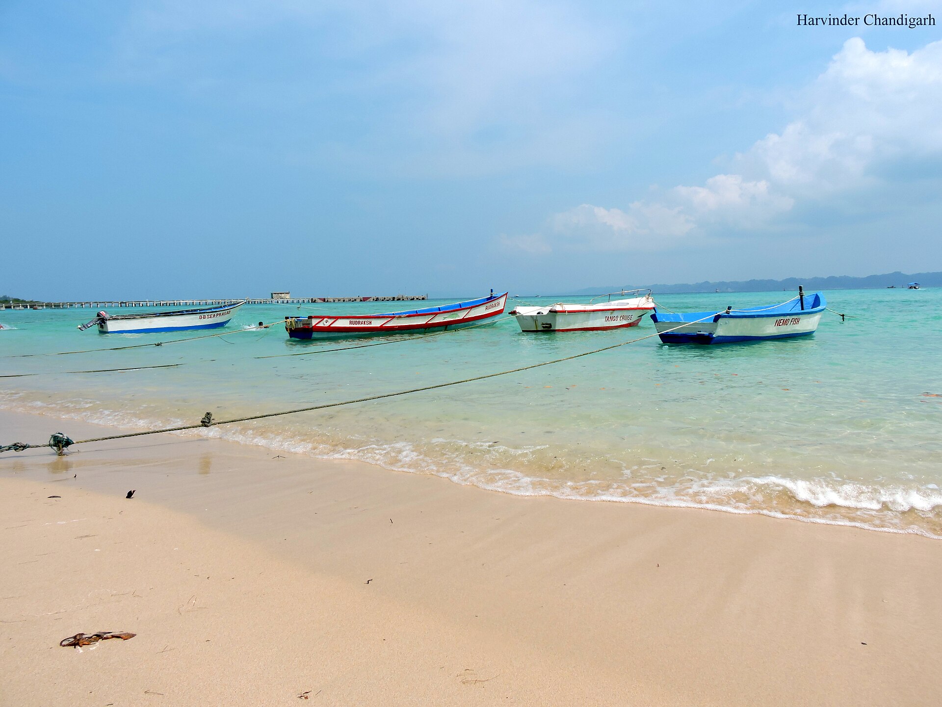Clear shallow turquoise lagoon waters, white coral sand, and green rainforest trees at Bharatpur Beach in Neil Island