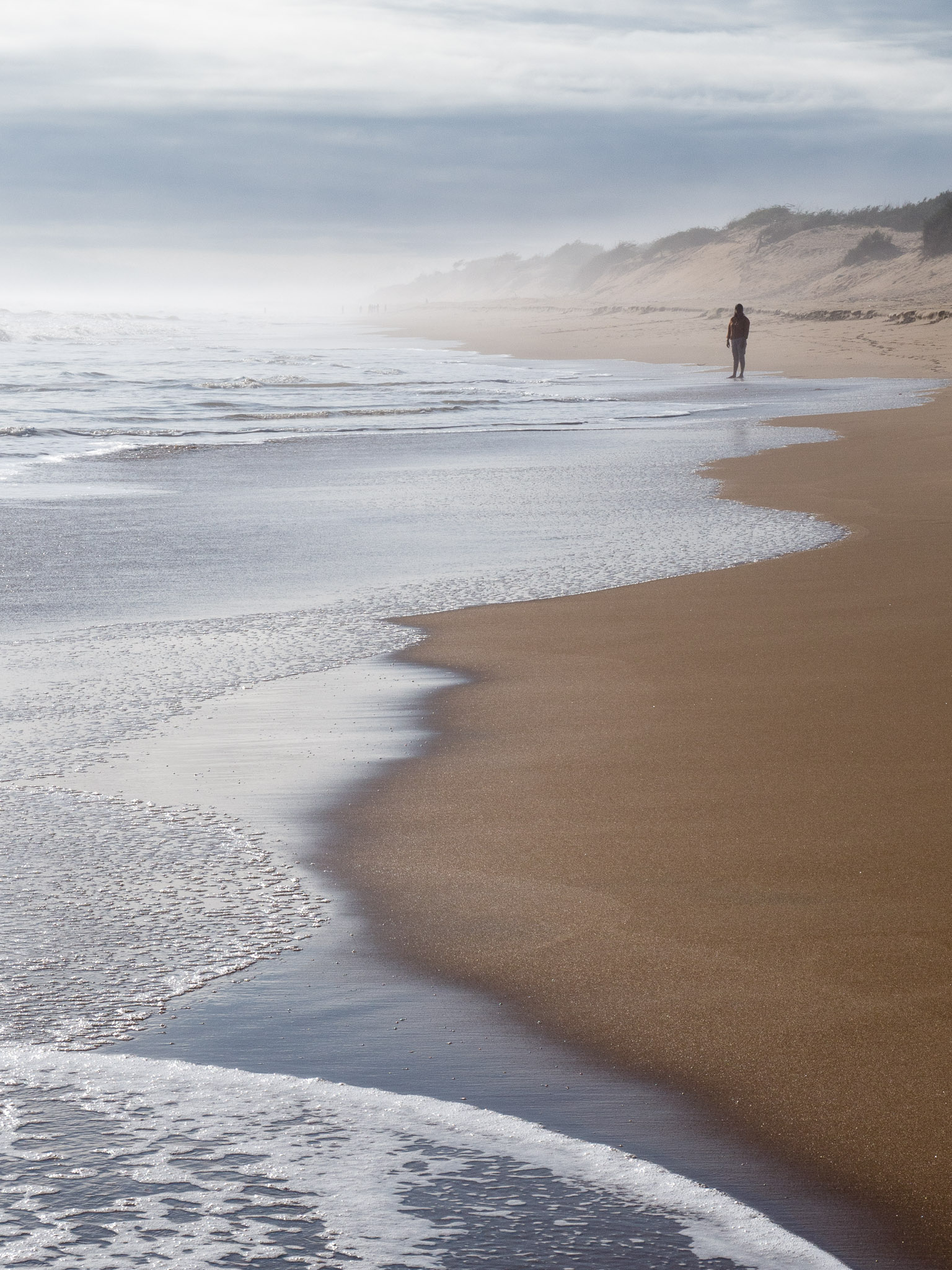 Expansive golden sandy shoreline and rolling Bay of Bengal surf at Chandrabhaga Beach near Konark in Odisha