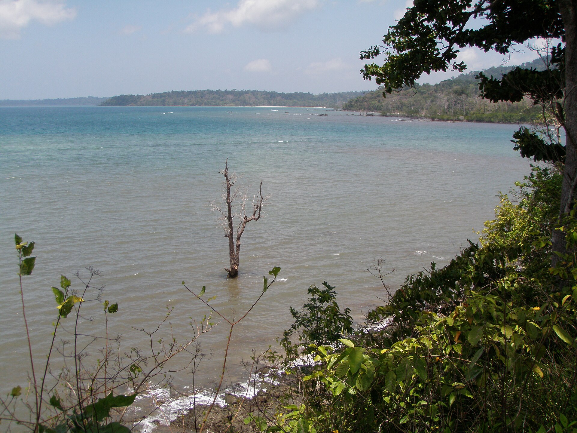 Lush green tropical rainforest trees, peaceful mangrove backwater, and turquoise sea at Chidiya Tapu in Andaman
