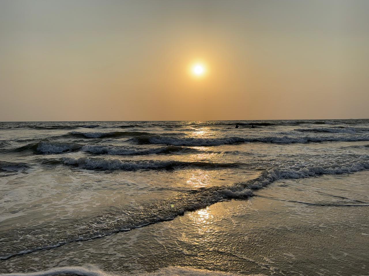 Broad white sandy shoreline lined with coconut palms and seaside shacks at Colva Beach in South Goa
