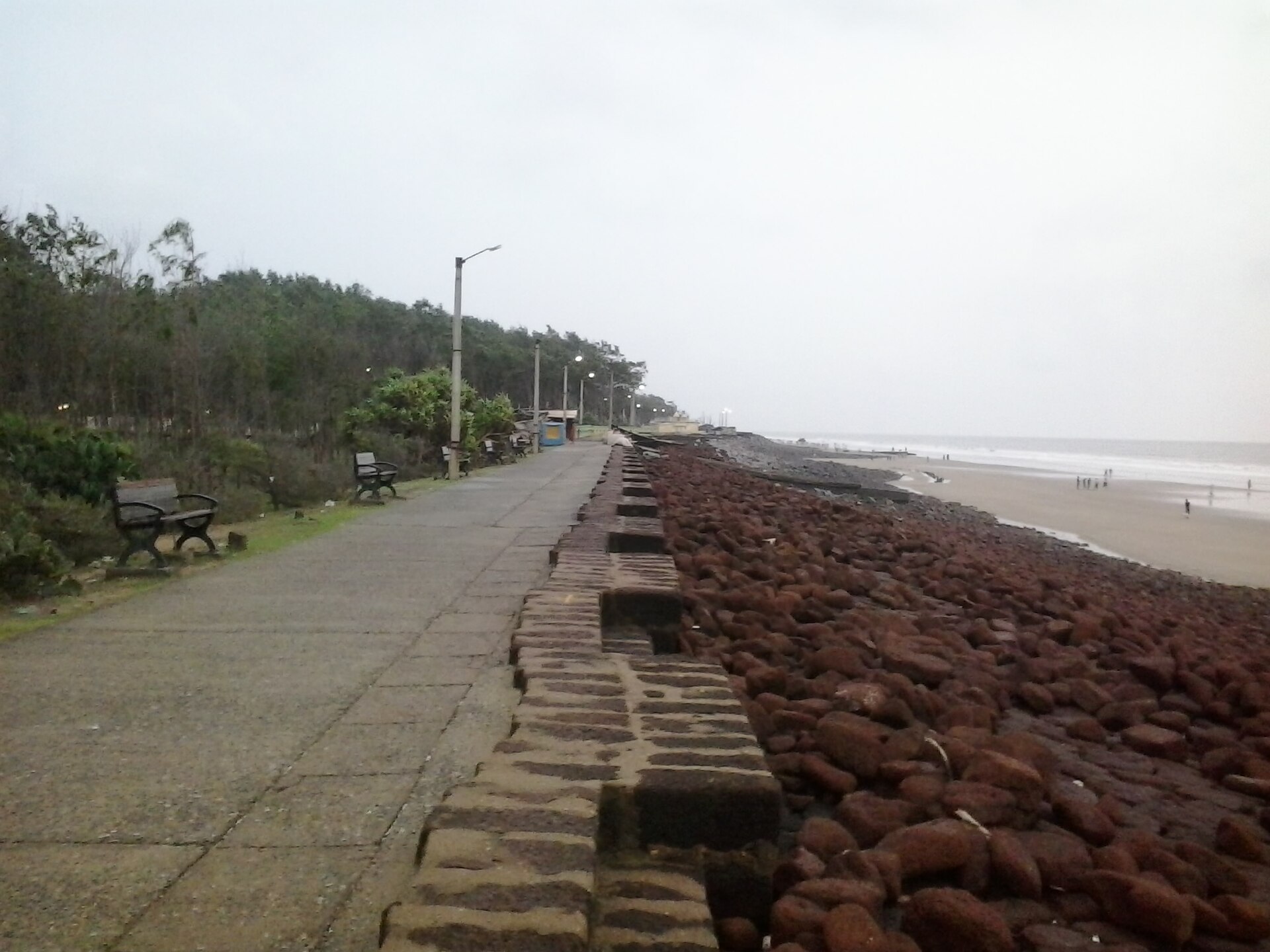 Expansive sandy shore of New Digha Beach with casuarina trees and Bay of Bengal breakers in West Bengal