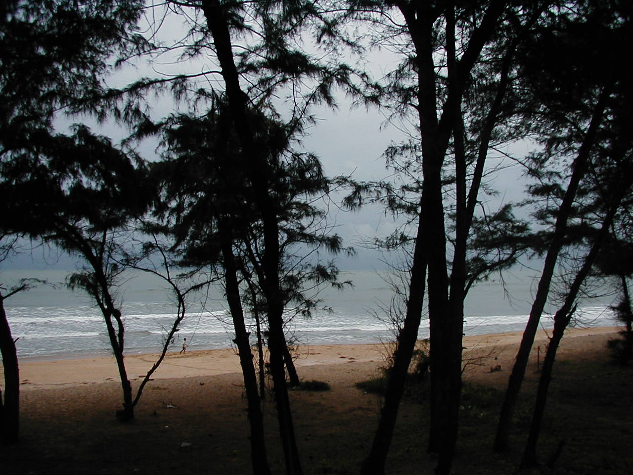 Untouched golden sand dunes, casuarina pine trees, and calm Arabian Sea at Galgibaga Beach in South Goa