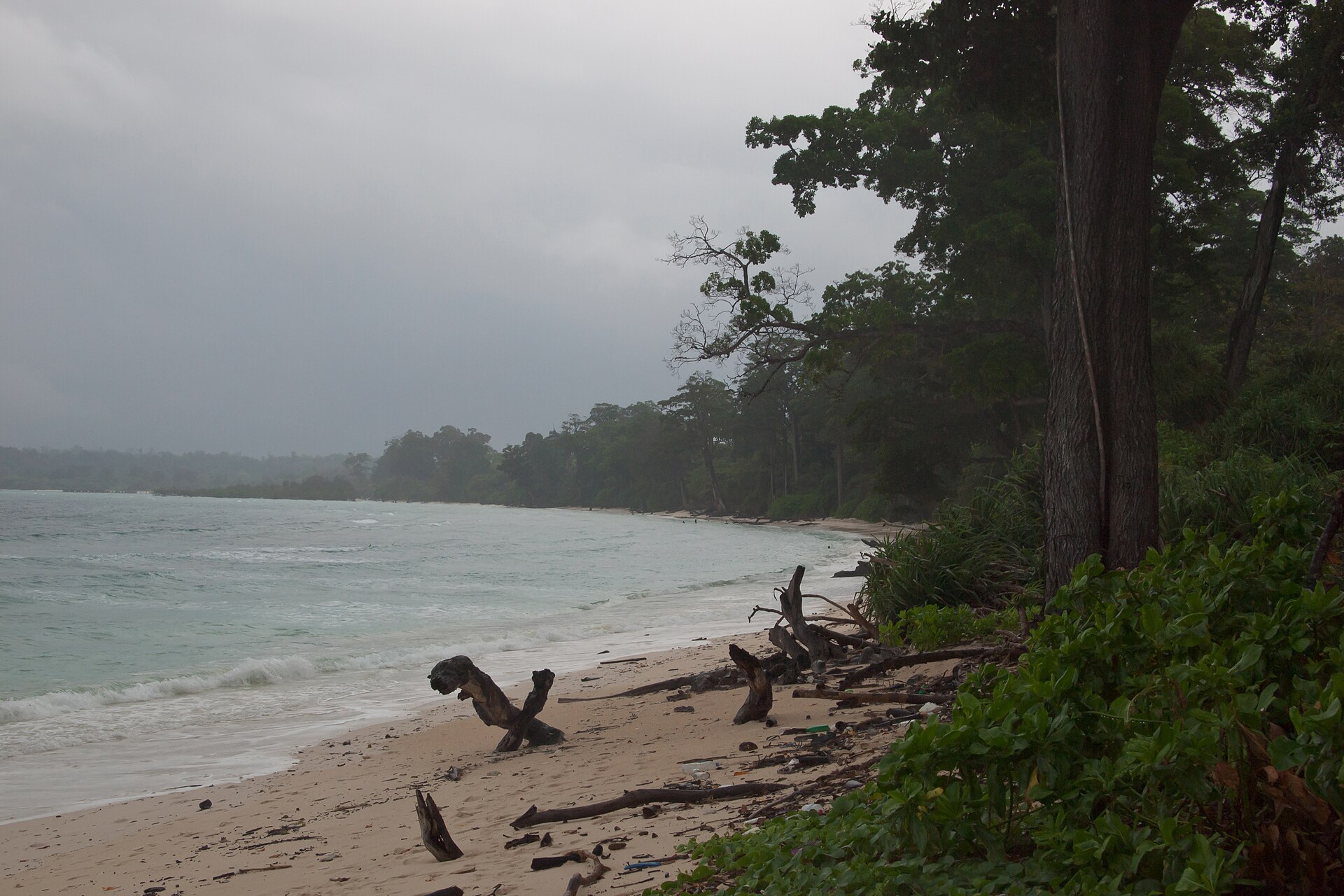 Vast sandy shore, dramatic rain clouds over the Andaman Sea, and tropical trees at Laxmanpur Beach on Neil Island