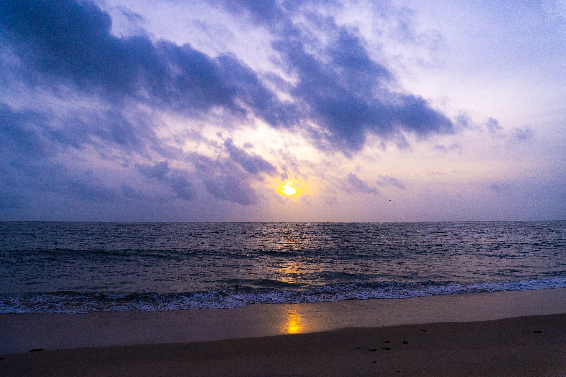 Broad golden sandy shoreline and coconut palm groves along the Arabian Sea at Marari Beach in Kerala