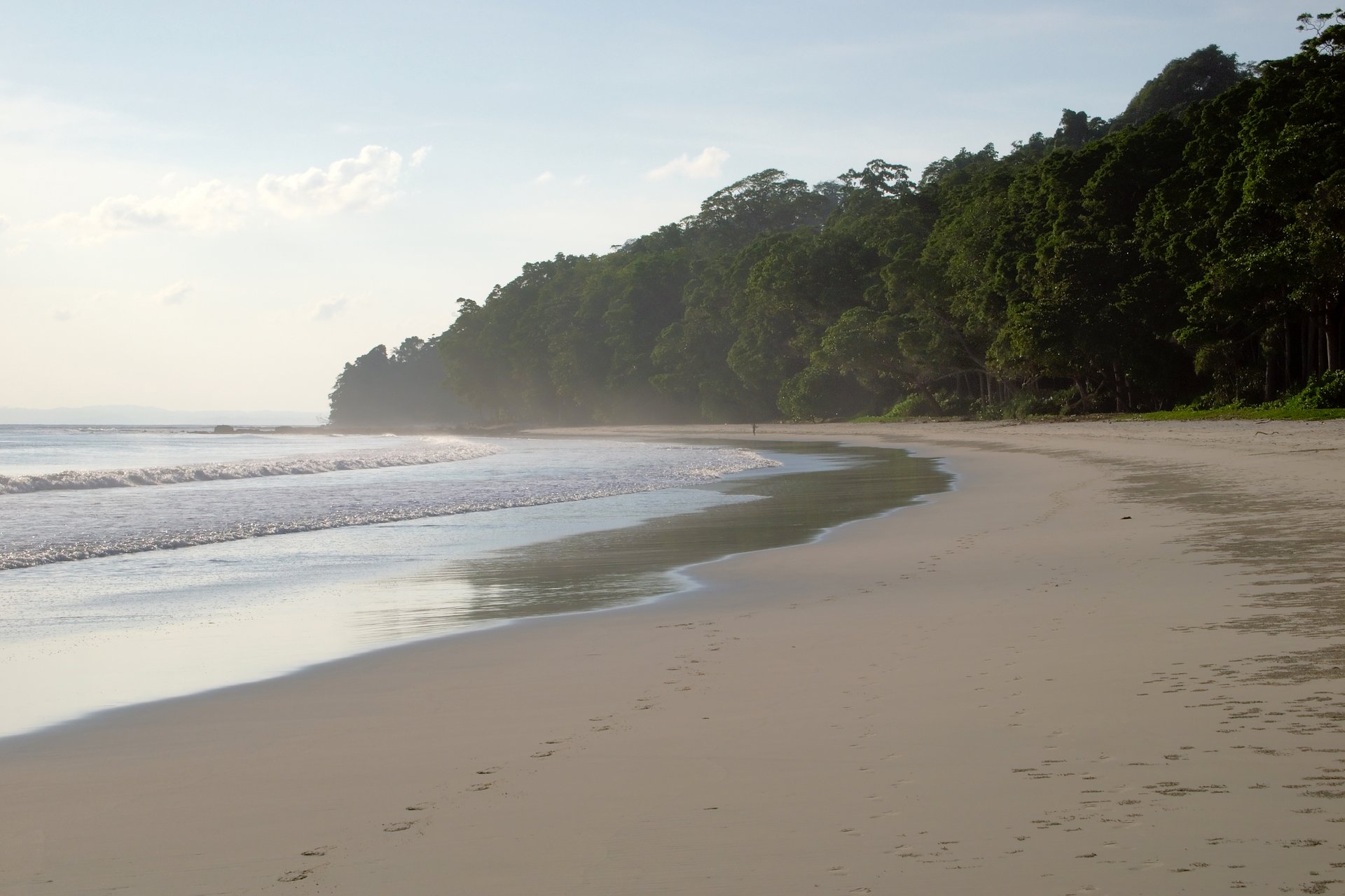 Broad sweep of Radhanagar Beach on Swaraj Dweep Havelock Island showing white sand, turquoise Andaman sea waves, and tropical rainforest canopy before sunset