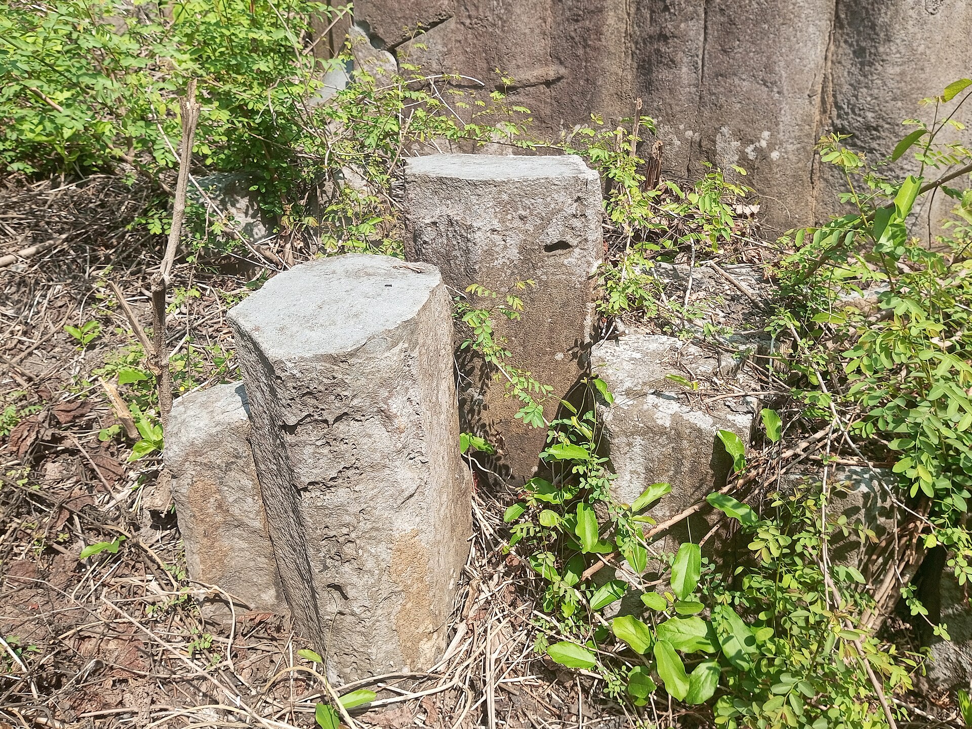 Spectacular vertical hexagonal columnar basalt rock formations and coconut palms on St Marys Island in Malpe, Karnataka