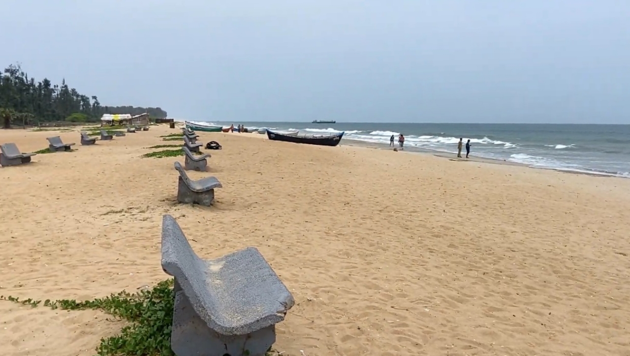 Dense green casuarina pine tree grove, wide golden sandy beach, and blue Arabian Sea at Tannirbhavi Beach in Mangalore