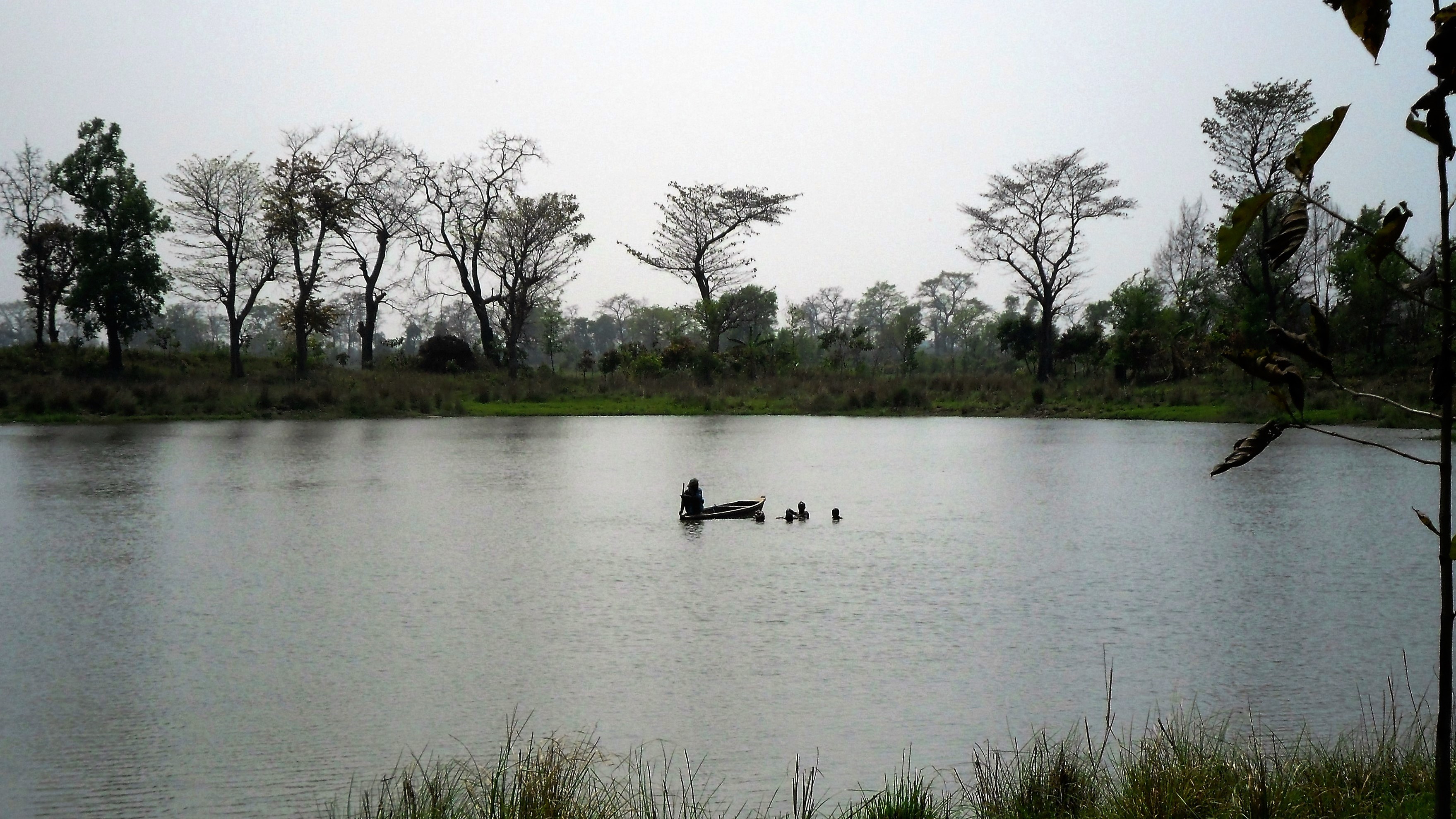 Valmiki National Park Travel Image