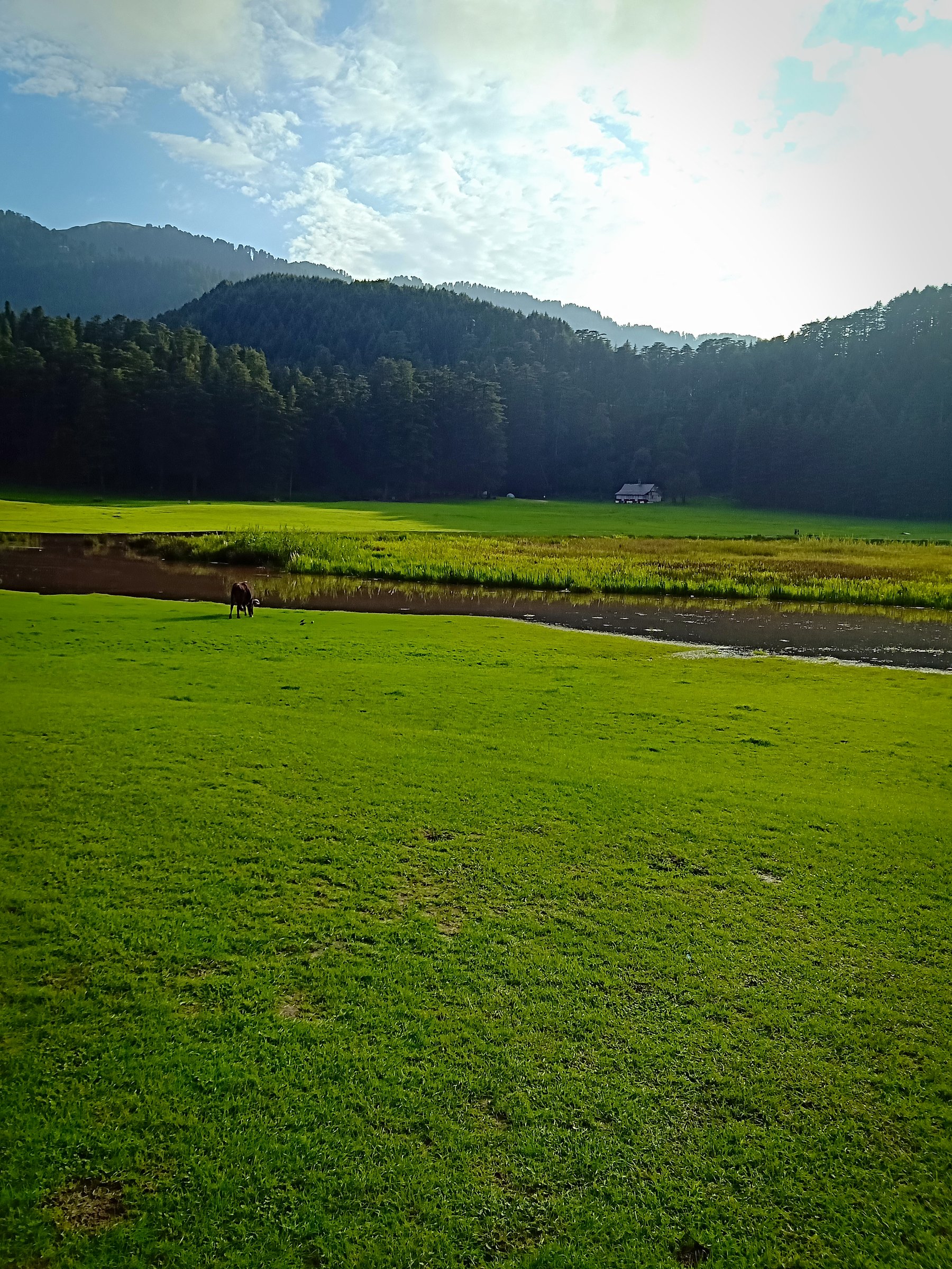 Dalhousie