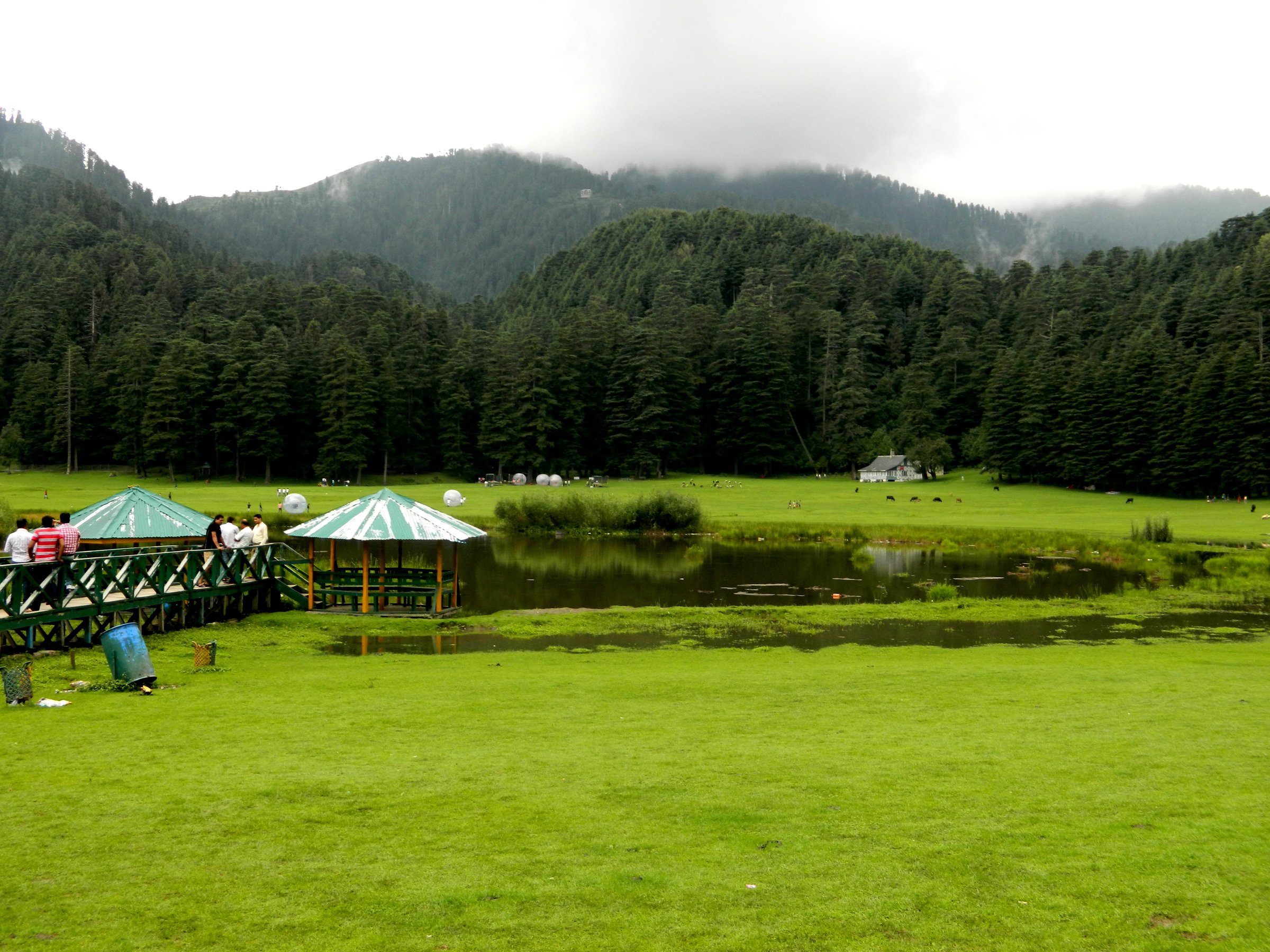 Khajjiar Meadow