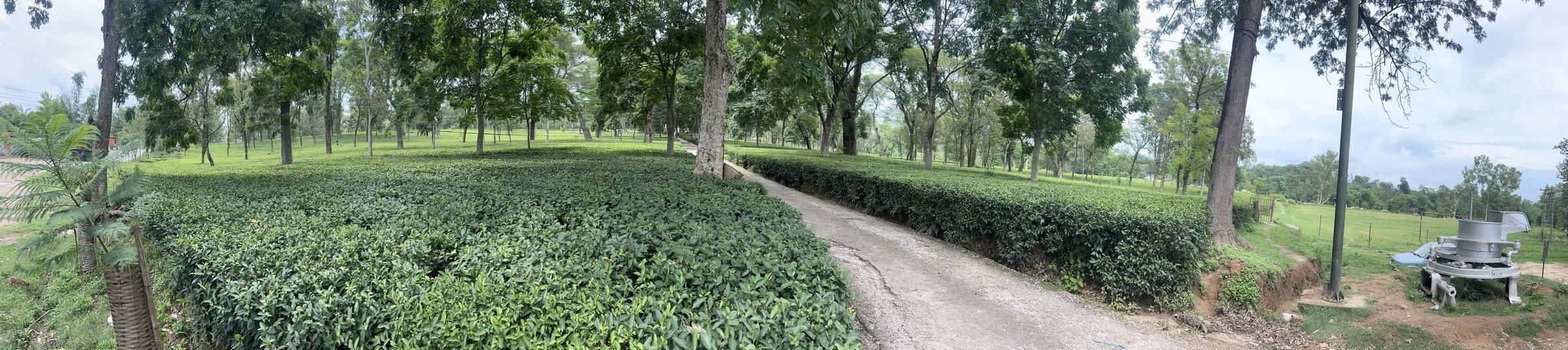 Palampur