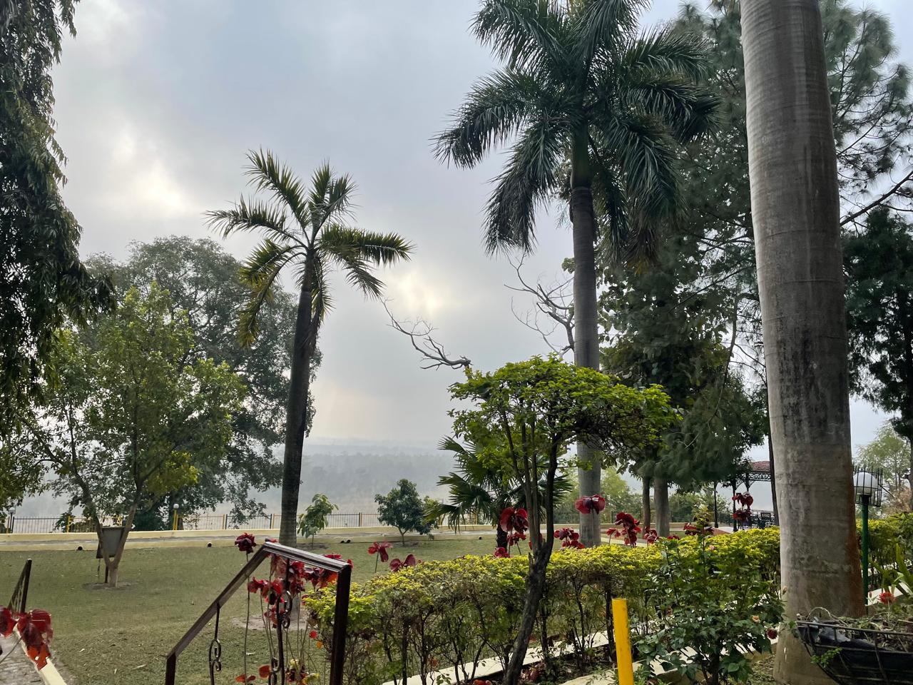 Kalesar National Park