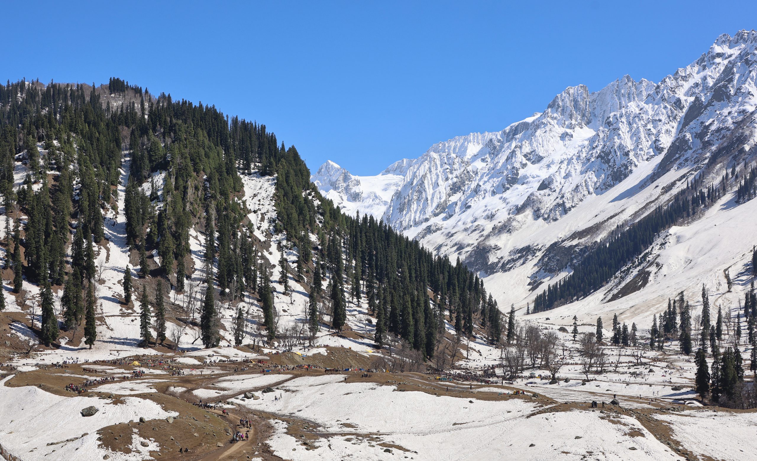 Sonamarg Thajiwas Glacier