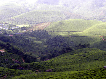 Munnar Hills