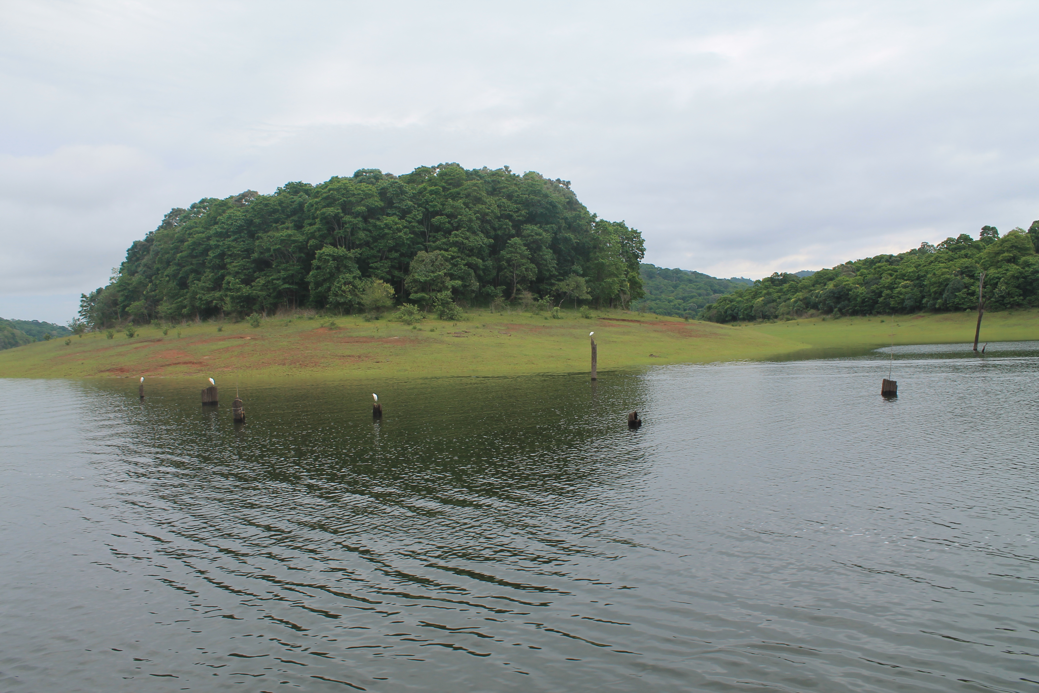 Periyar Lake