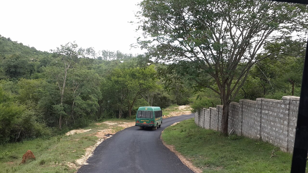 Bannerghatta Tiger Sanctuary River & Forest Canopy
