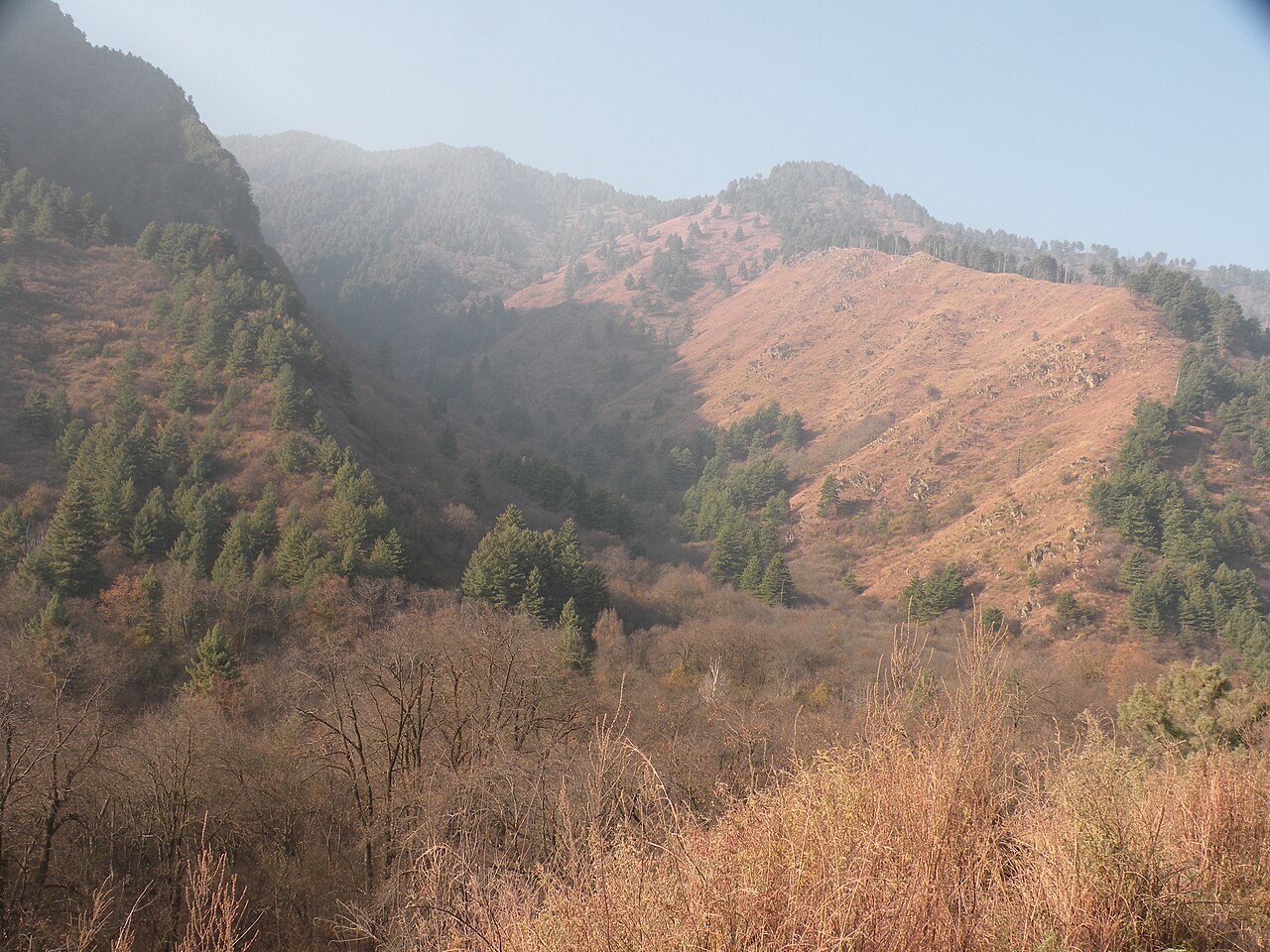 Dachigam National Park Wildlife Action