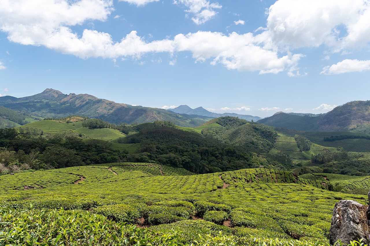 Eravikulam National Park Primary Landscape