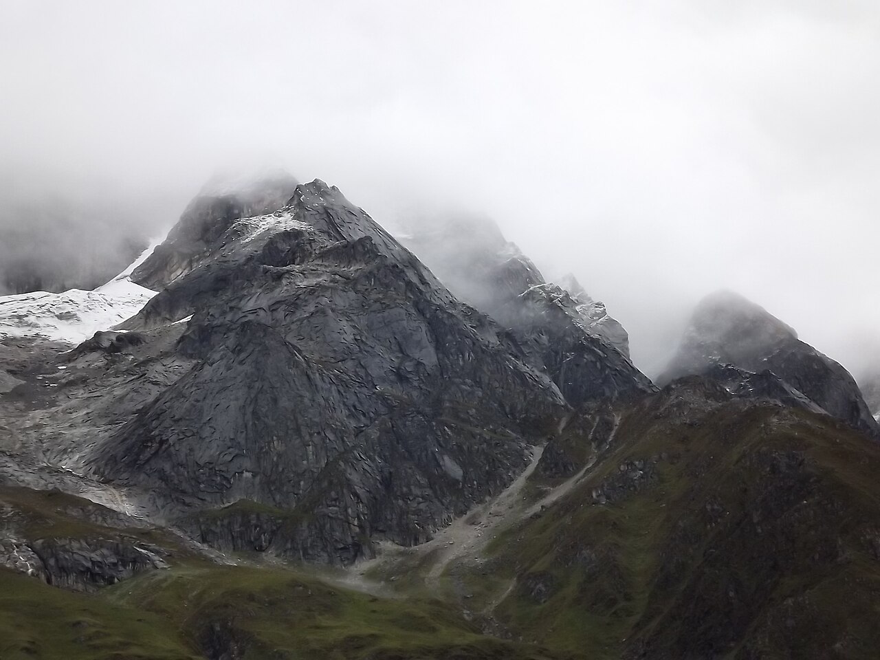 Great Himalayan National Park Wildlife Action