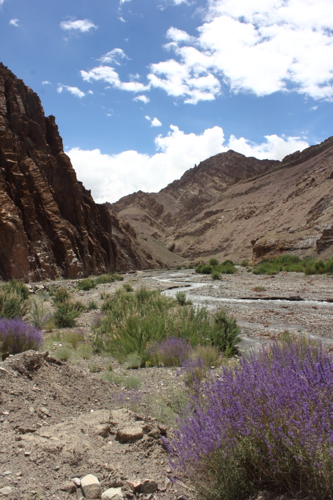 Hemis National Park Primary Landscape
