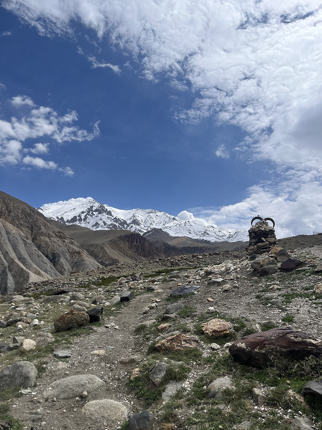 Hemis National Park Wildlife Action