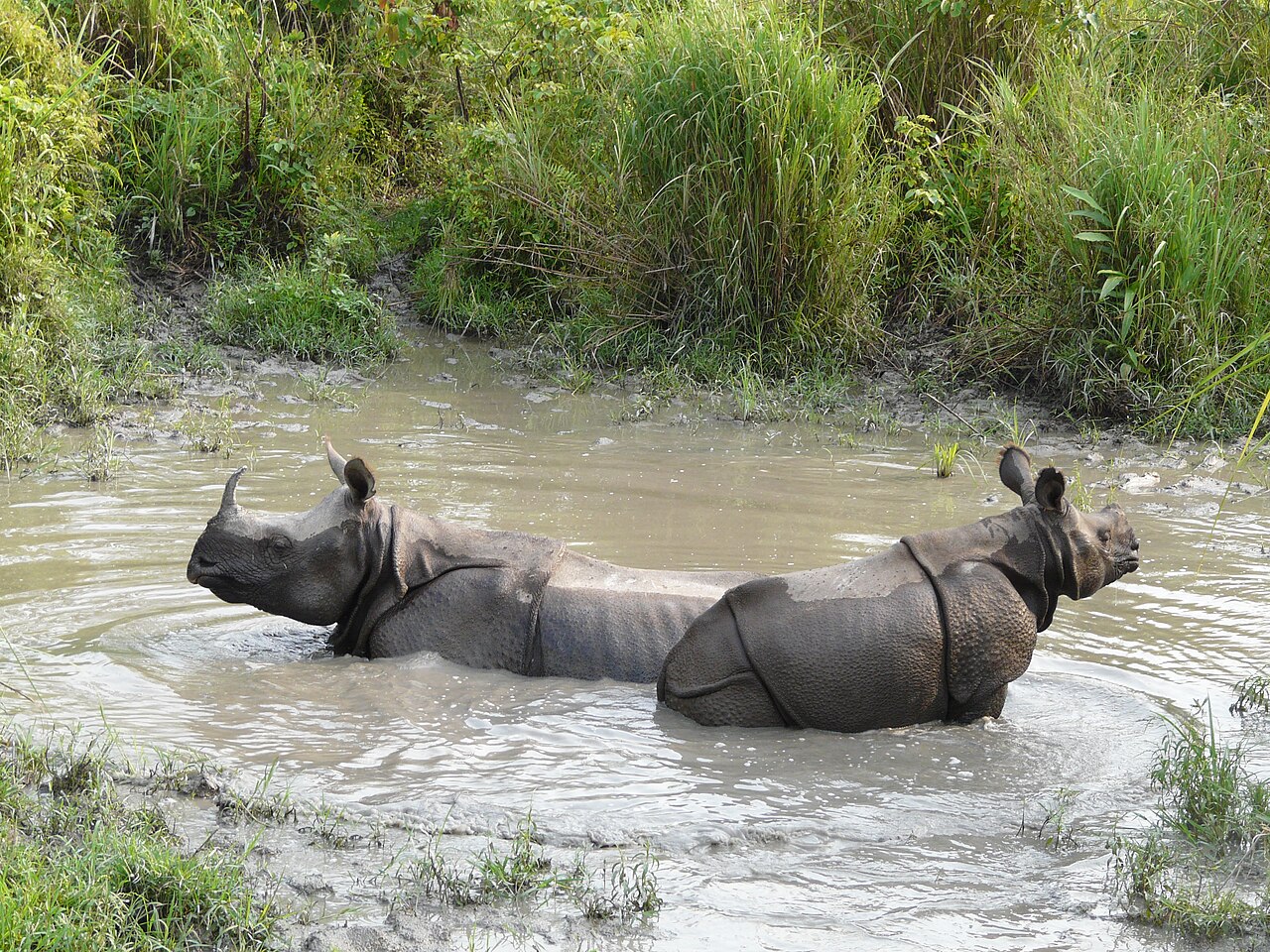 Buxa Tiger Reserve Primary Landscape