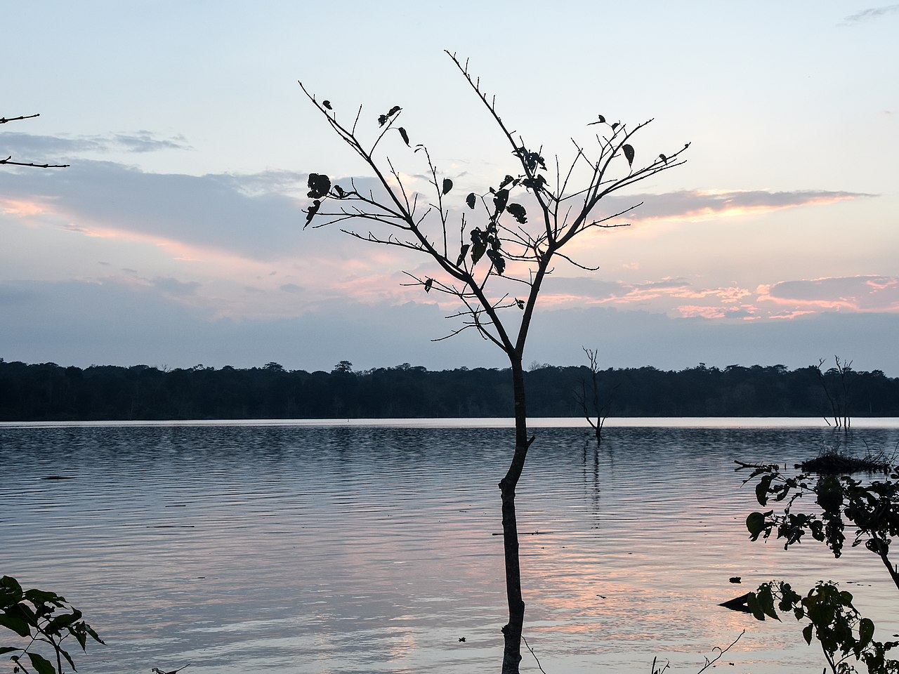 Landscape and flora of नेत्रानी
      The Diving Wildlife Sanctuary