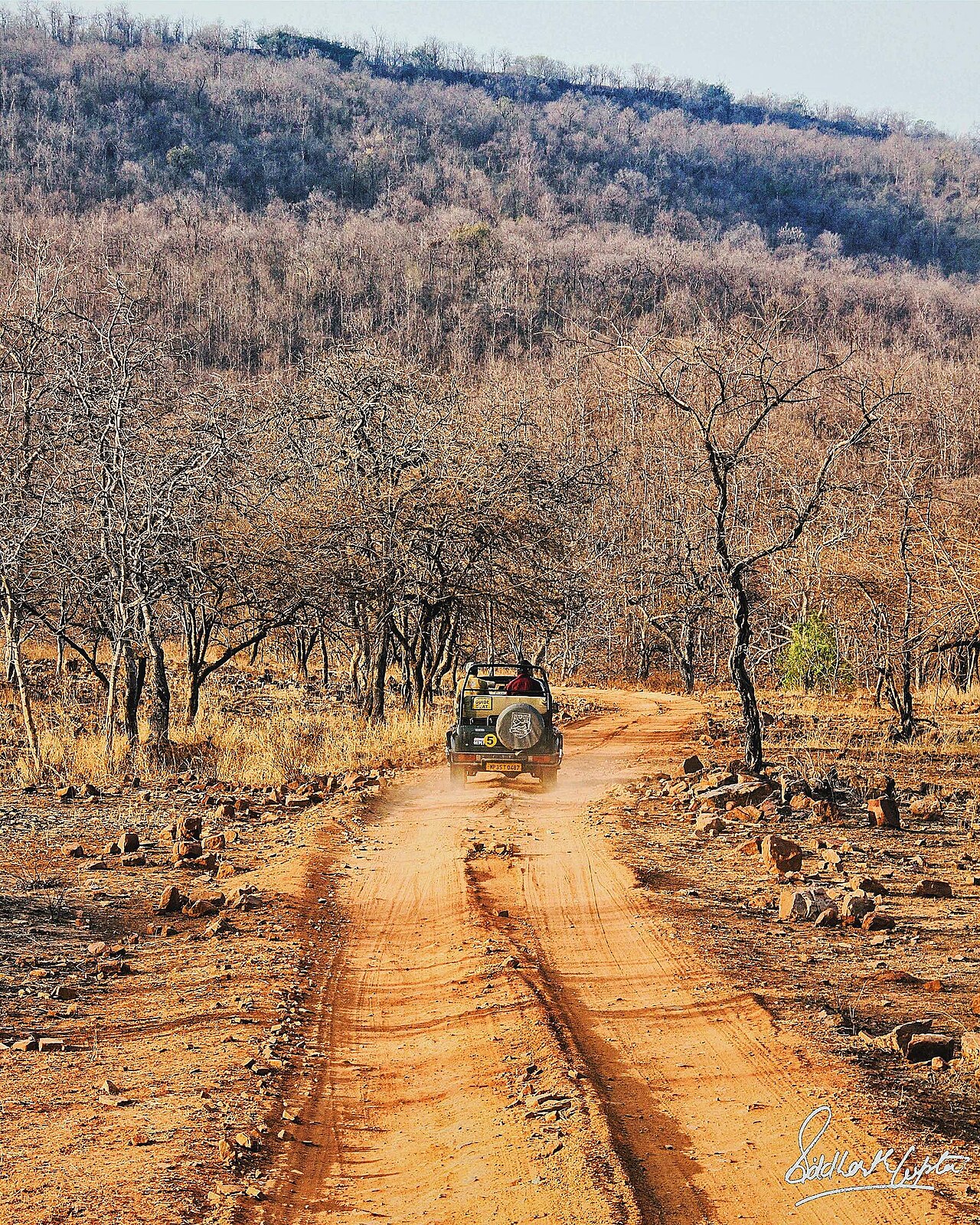Panna Tiger Reserve River & Forest Canopy