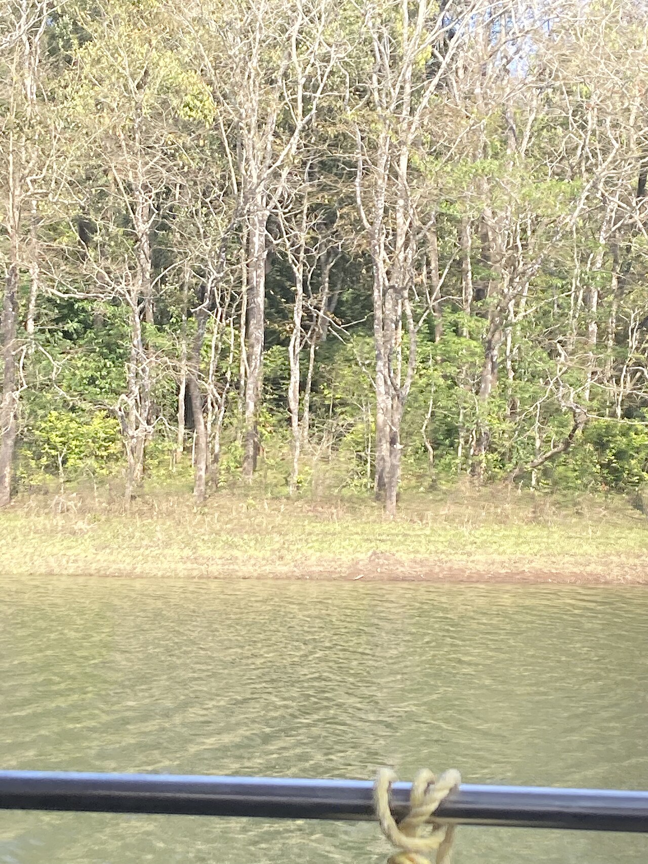 Wayanad Wildlife Sanctuary & Tiger Reserve Wildlife Action