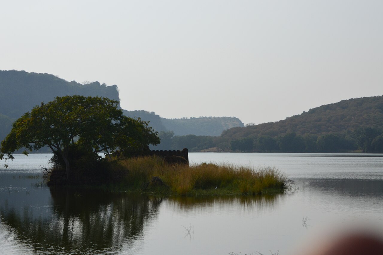 Ranthambore Tiger Reserve River & Forest Canopy
