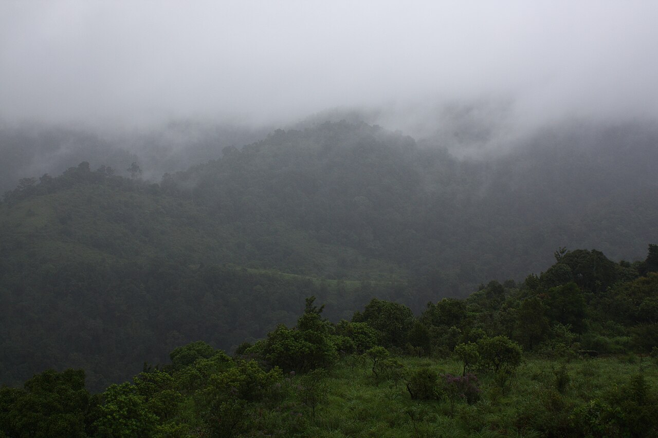 Sahyadri Tiger Reserve
