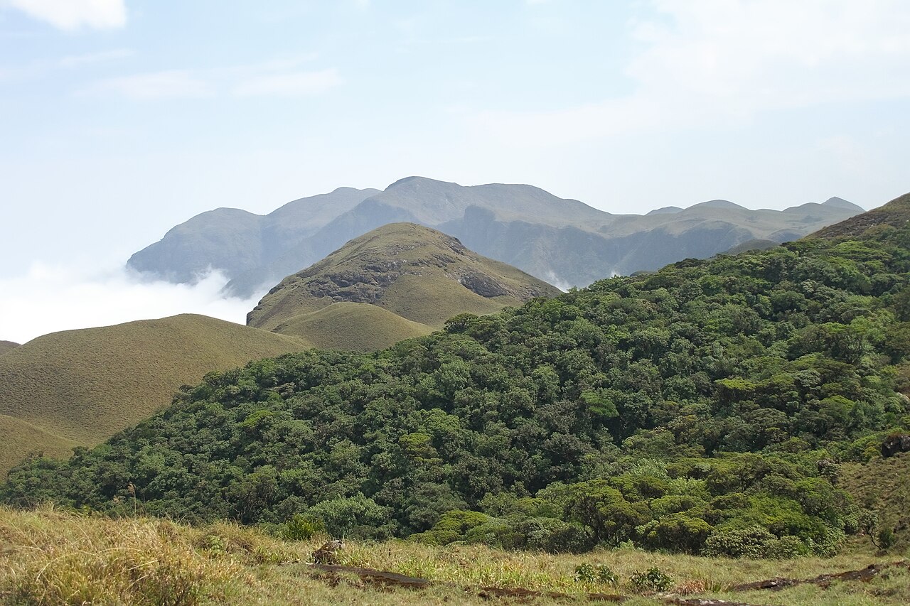 Silent Valley National Park River & Forest Canopy