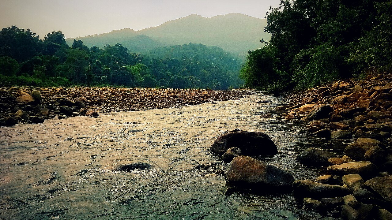 Simlipal Tiger Reserve Wildlife Action