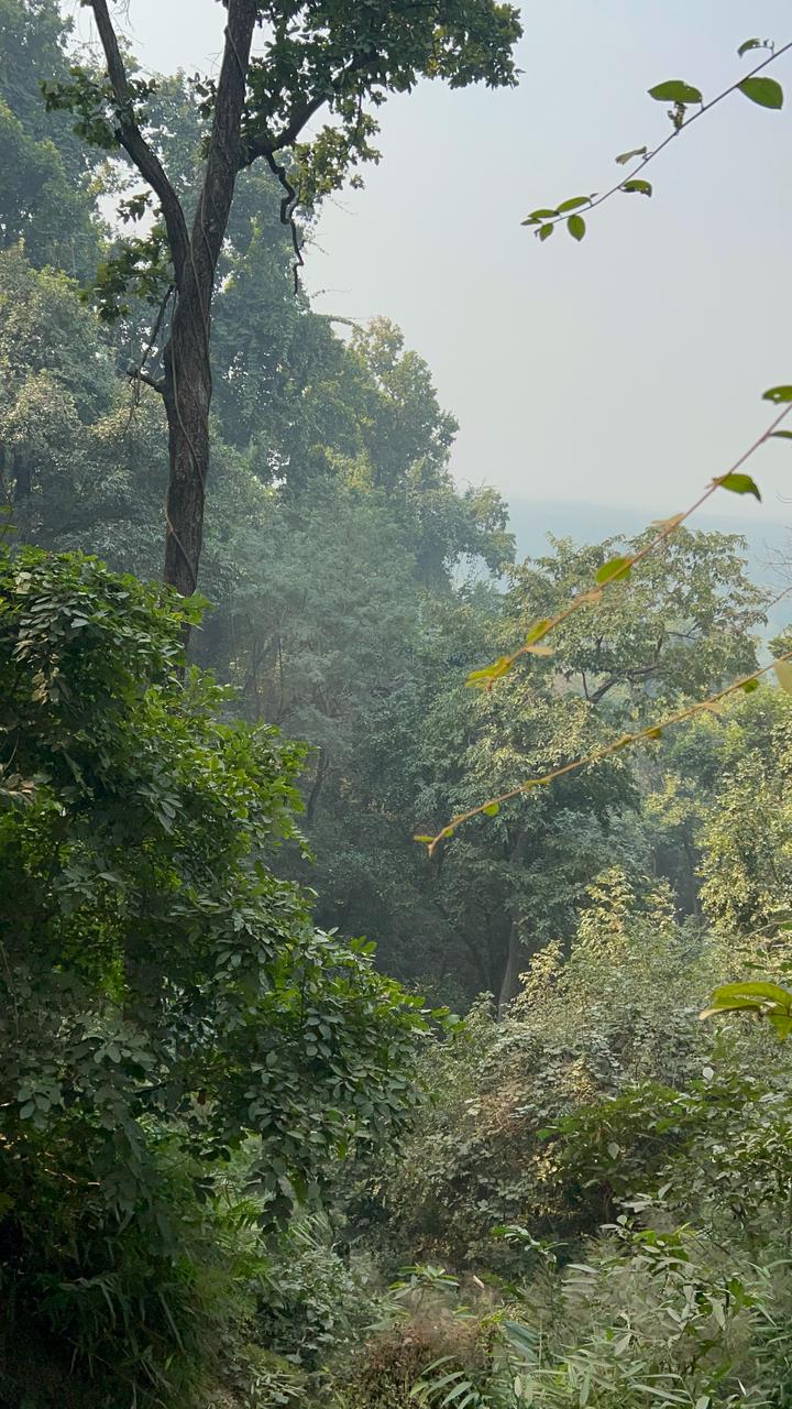 Valmiki Tiger Reserve Primary Landscape