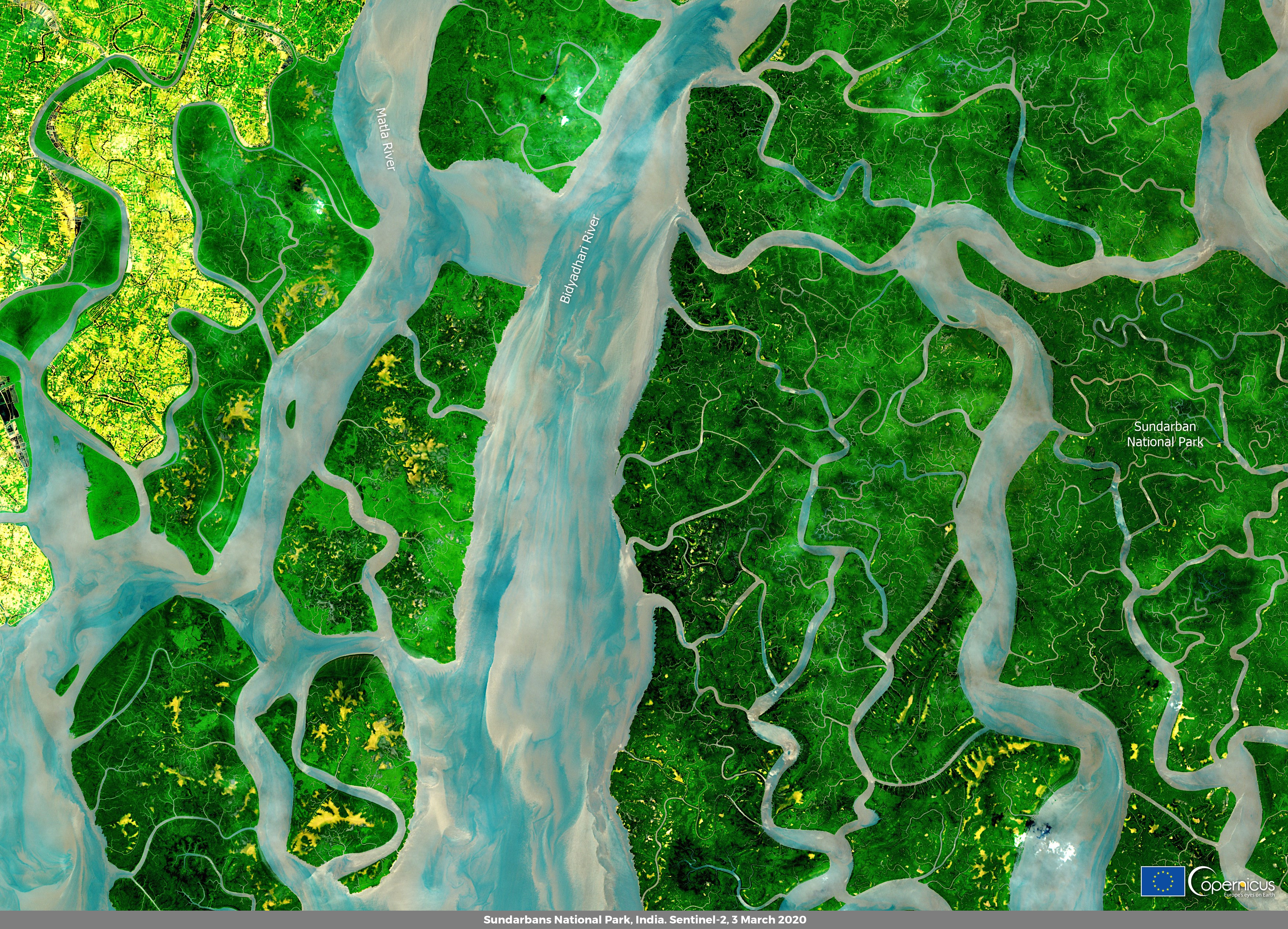 Sunderbans National Park