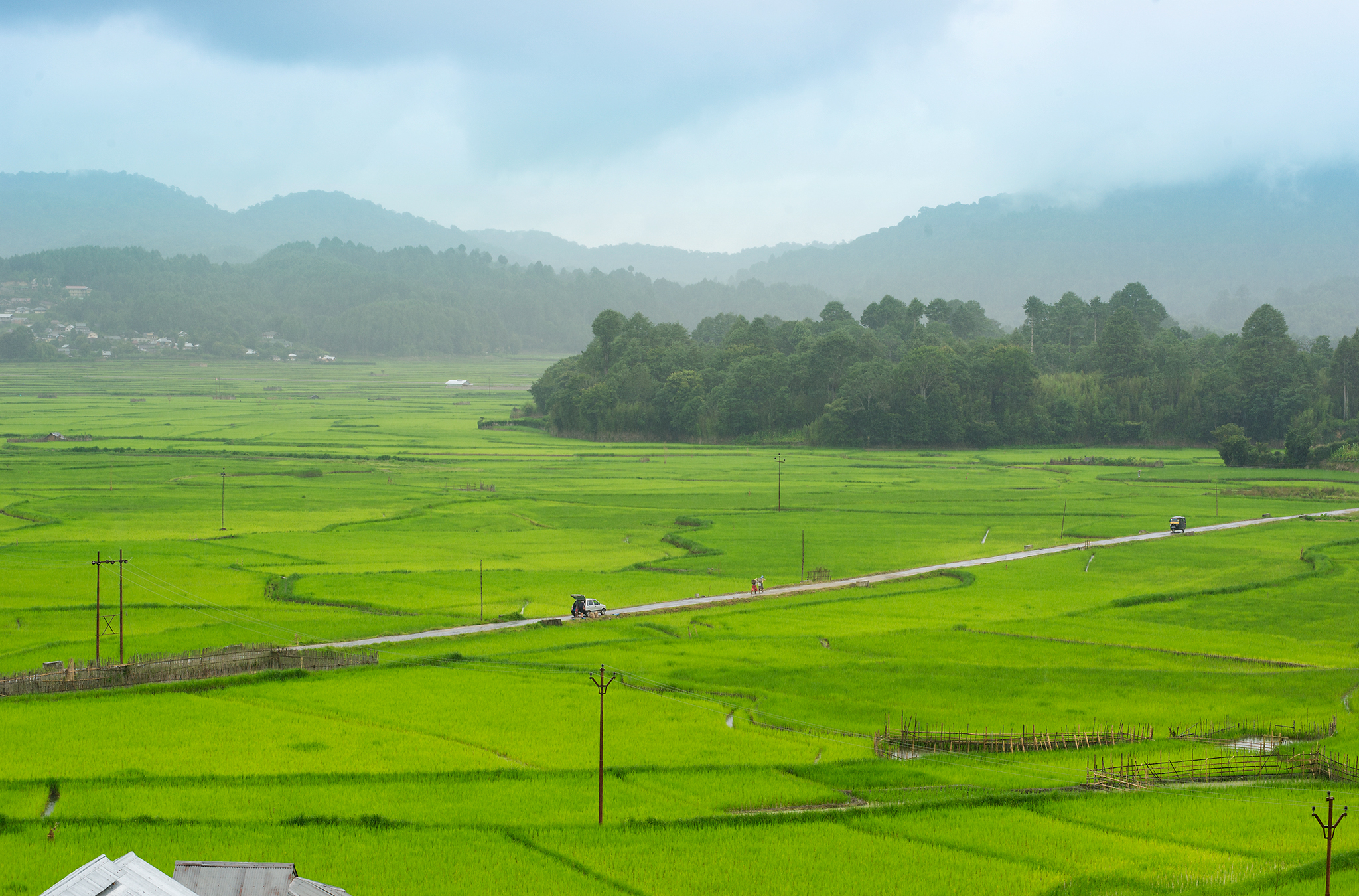Ziro Valley Circuit